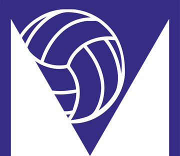 Volleyball Market